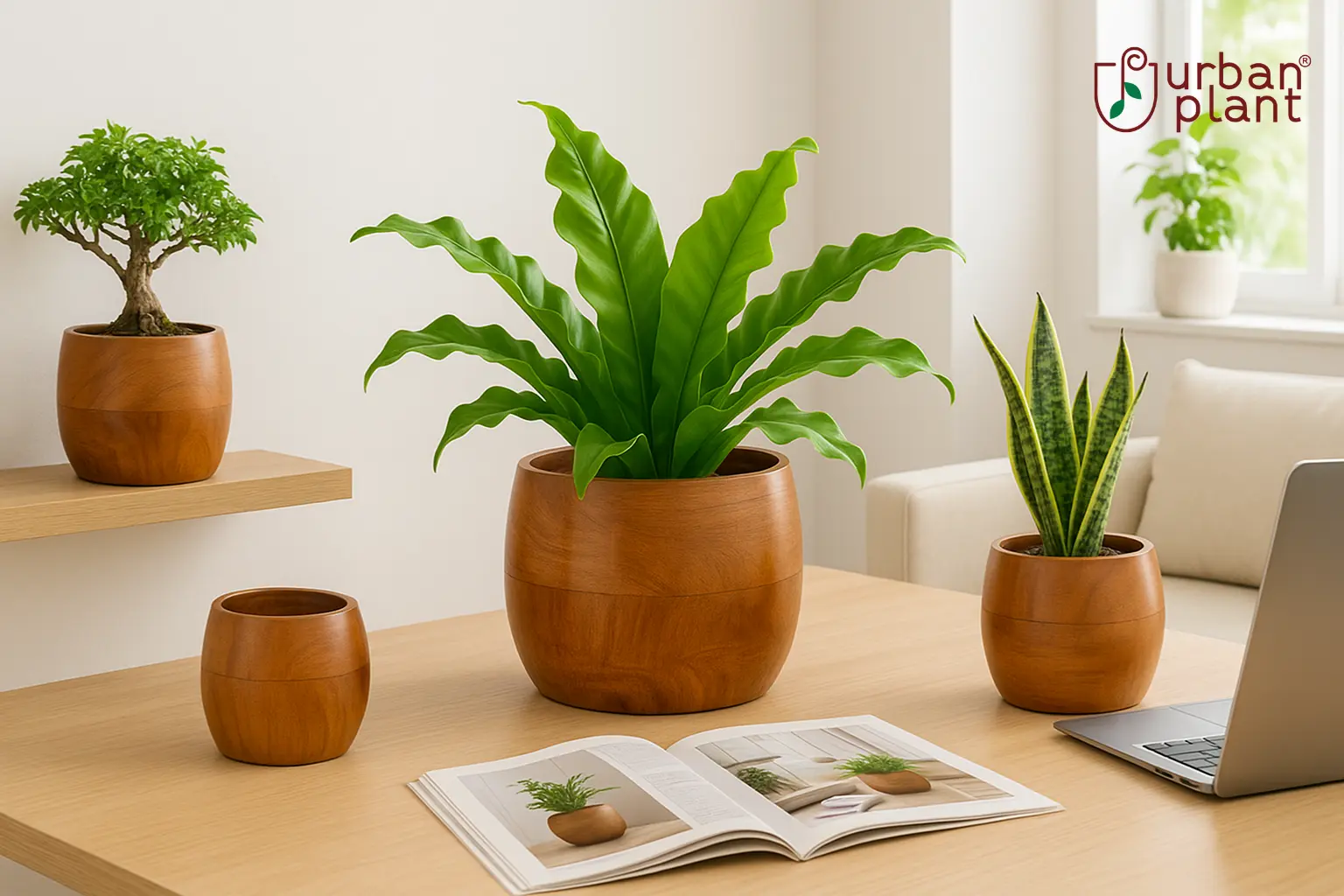 Earth Bowl Wooden Planters Review (2026-27): Best Handcrafted Wooden Pots for Indoor Plants